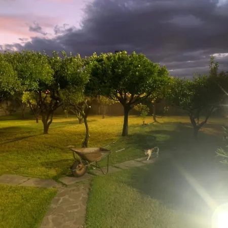 Guest house Romana Relax 3*