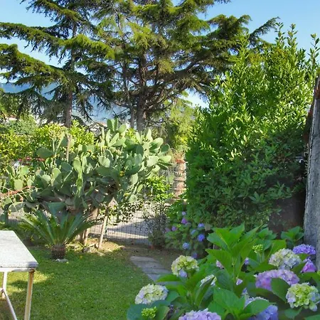Romana Relax Guest house 3*