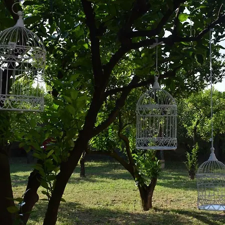 Guest house Romana Relax 3*